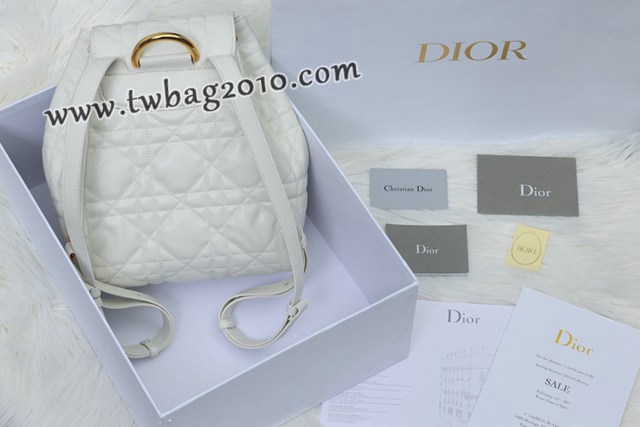 Dior专柜新款迪奥高仿原单Caro双肩包小羊皮女士双肩背包 djfk1571